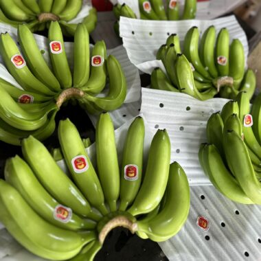 11 Evidence-Based Health Benefits of Bananas