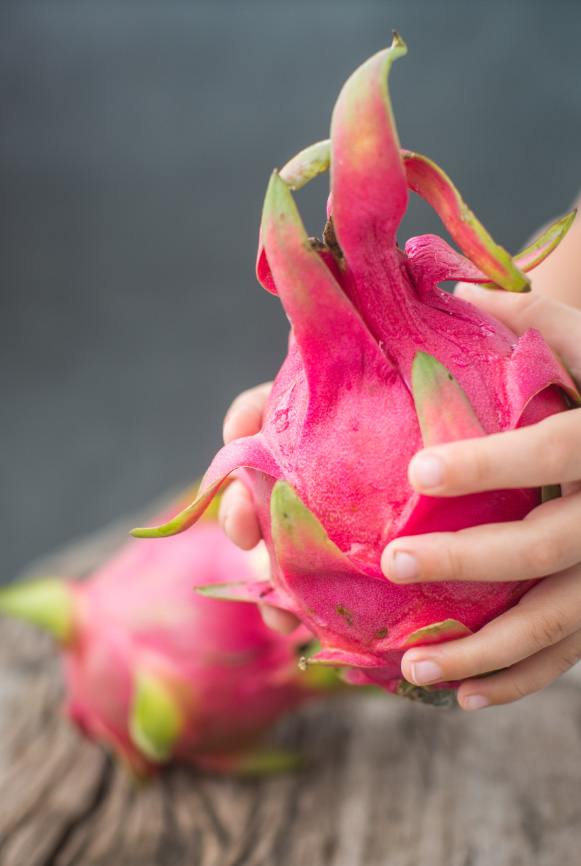 dragon-fruit-lux-farm
