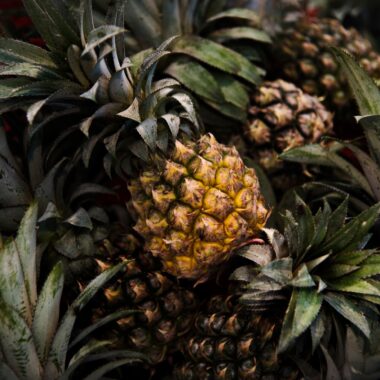 How Many Type Of Pineapple In Viet Nam?