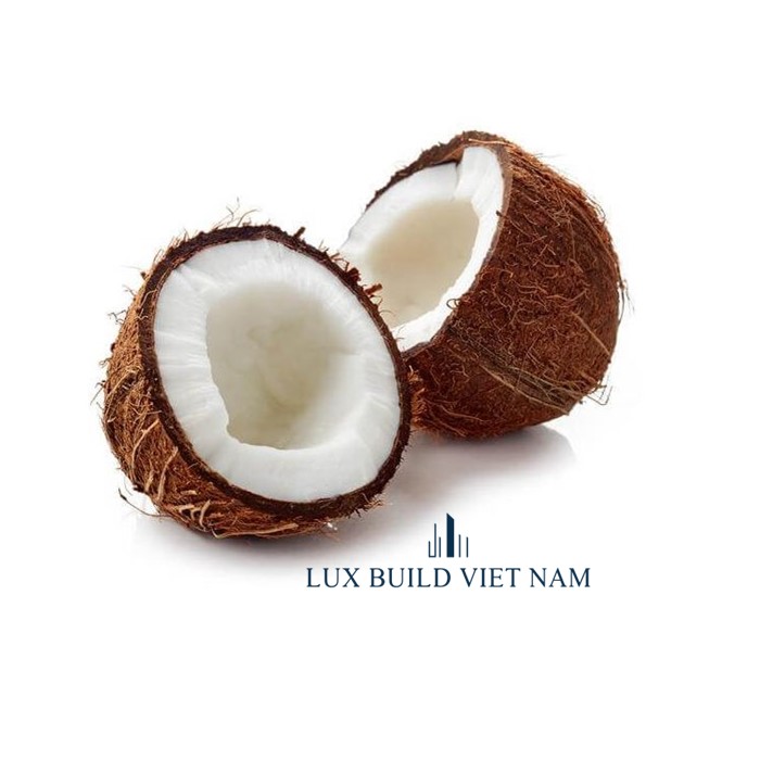 DRIED COCONUT
